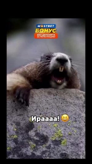 Ирааааа!