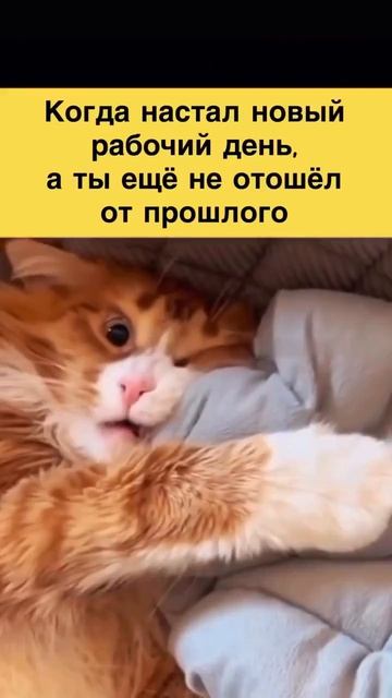 Опять на работу смотреть онлайн