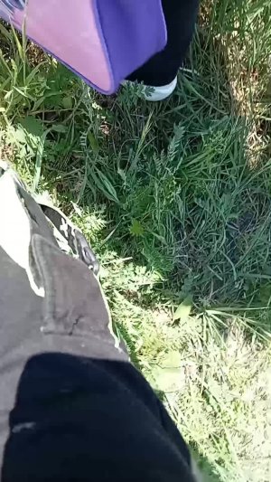 На лысые горы