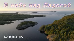 В небе над Ладогой