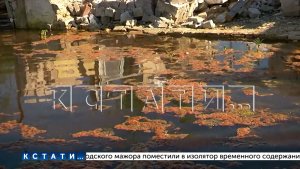 Сады Автозаводского района стали пригодны лишь для выращивания риса