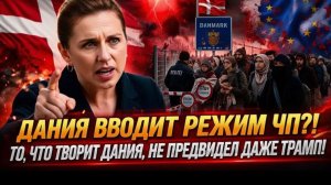 ШОКОВАЯ ТЕРАПИЯ ДЛЯ European Union! Denmark ПОШЛА ПРОТИВ ВСЕХ!
