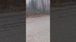 Покатушка