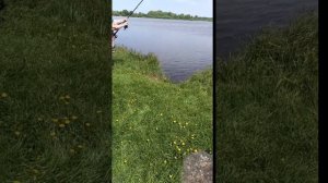 Пора по рыбам 🏄🐟🦈🐳🐬