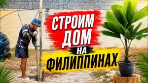 ИСХОД РУССКИХ МУЖИКОВ В ДЖУНГЛИ. Добываю БАМБУ  Купили ПЕРВЫЕ Растения в Дом  Строим Дом