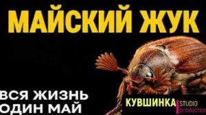 Майский Жук 4 года заточения