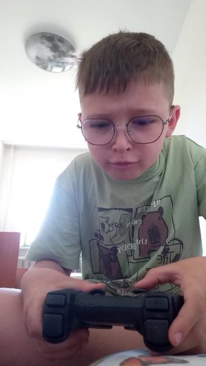 расхититель помойки