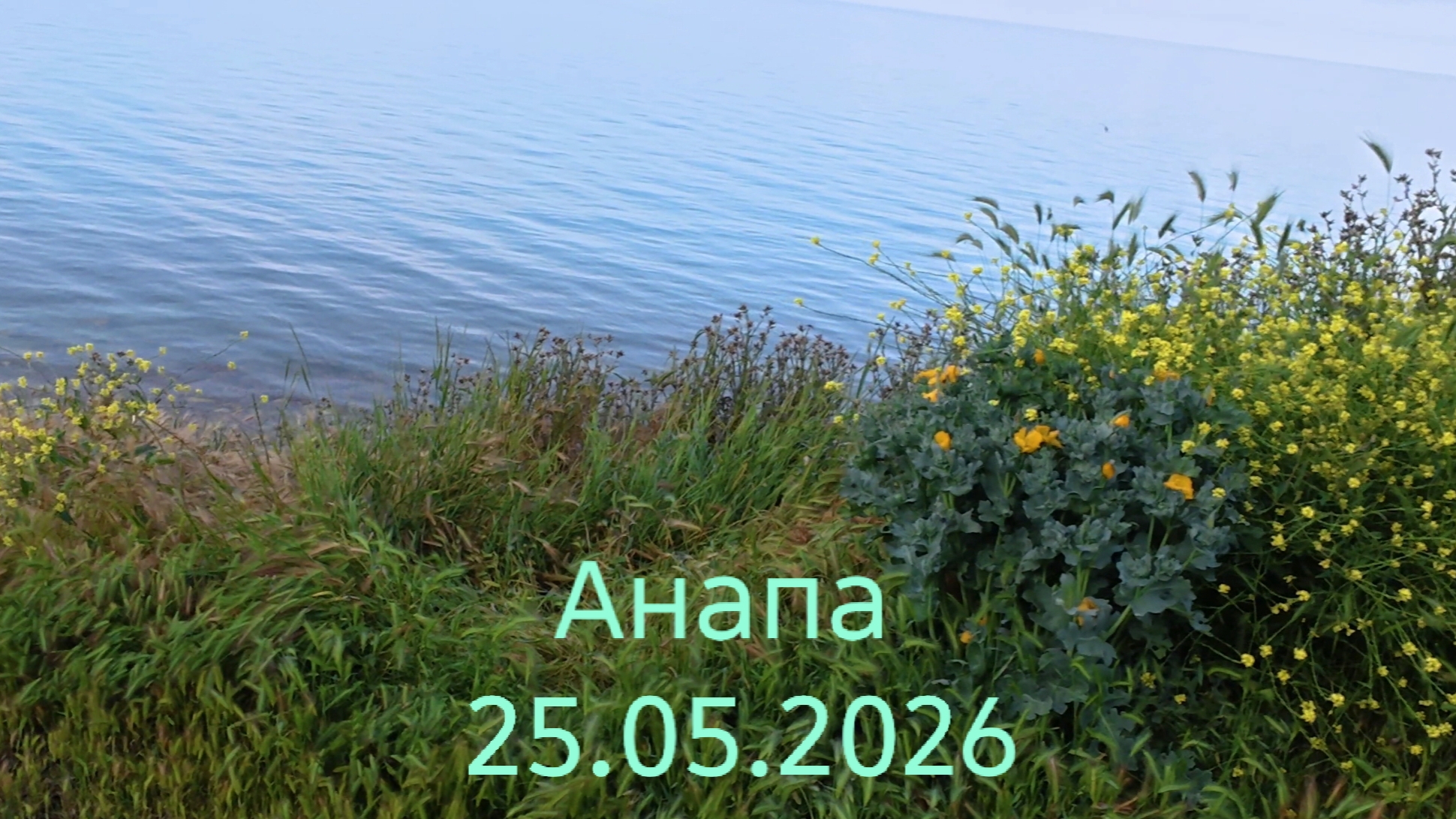Анапа 25.05.2026 смотреть онлайн