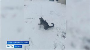 Рабочие поселки Артемовский и Кропоткин в Бодайбинском районе замело снегом