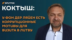 Коктыш: у фон дер Ляйен есть коррупционные мотивы для визита в Литву