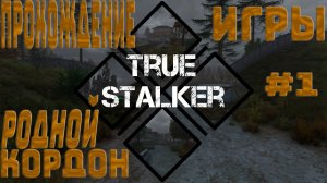 ПРОХОЖДЕНИЕ ИГРЫ TRUE STALKER ~ РОДНОЙ КОРДОН #1