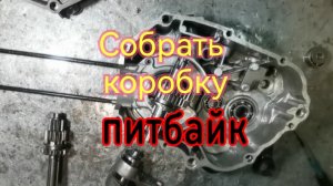 Как правильно собрать коробку питбайка