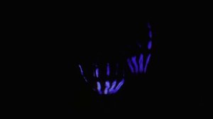 97Kickstvr x LVTE BLOOMER - Secrets