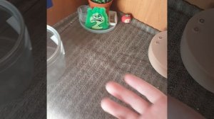 Влог с кактусом🌵!@◇☆♡