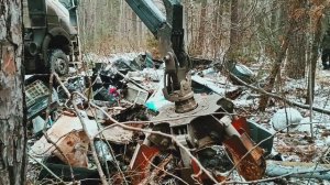 Лесной Десант 2025 Воспоминания