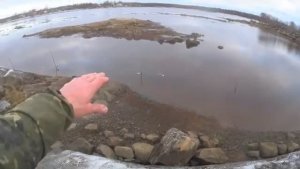 СМОТРИТЕ СКОЛЬКО СИГОВ! С ВЫСОТЫ ИХ ОТЛИЧНО ВИДНО! РЫБАЛКА У ОТВЕСНОЙ СКАЛЫ!