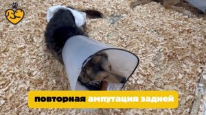 Амеля отважно перенесла вторую операцию!