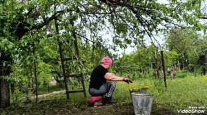 Невероятные приключения Ирины на даче...