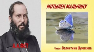 А.Фет «Мотылек мальчику». Читает Валентина Шумихина.