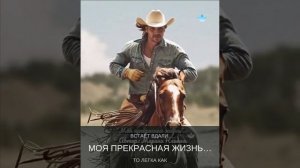 «Моя прекрасная Жизнь» © Марина Нешина. Писала с себя,своей жизни и данный жанр очень подошёл)