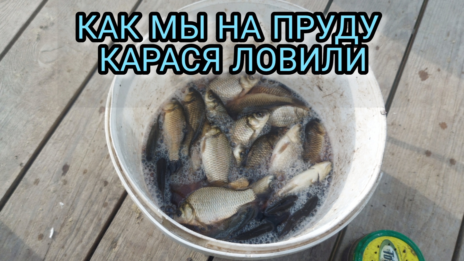 ЛОВИМ КАРАСЯ НА ПРУДУ ДУПЛЕТОМ В ОДНО ВЕДРО