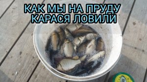 ЛОВИМ КАРАСЯ НА ПРУДУ ДУПЛЕТОМ В ОДНО ВЕДРО
