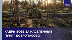 ВС РФ освободили Добропасово в Днепропетровской области