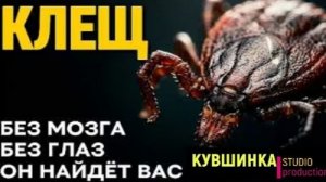 Клещ существо которое чует вас за 3 метра