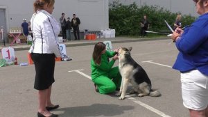 Ольвал Дэнис Стронг