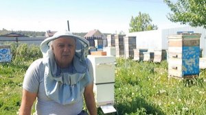 Майский медосбор завершается. Что делать со слабейшими семьями? Подсиливать или объединять?