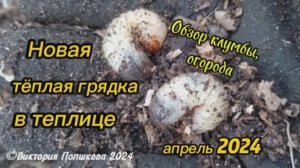 Как я делаю тёплую грядку в теплице. Полезные обитатели почвы. Обзор клумбы. Посадка клубники
