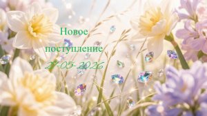Новое поступление 27-05-2026