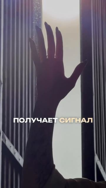 Если ты тоже всё понимаешь головой, но жизнь от этого не меняется — напиши ЭНЕРГИЯ.