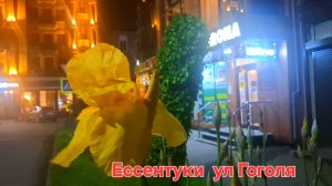 Ессентуки ул Гоголя 25-05-2026