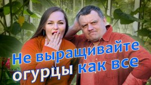 Желтеют и сохнут огурцы ЧТО ДЕЛАТЬ? Намаринуем огурцов на зиму!