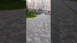 гонка илья vs максим vs леха