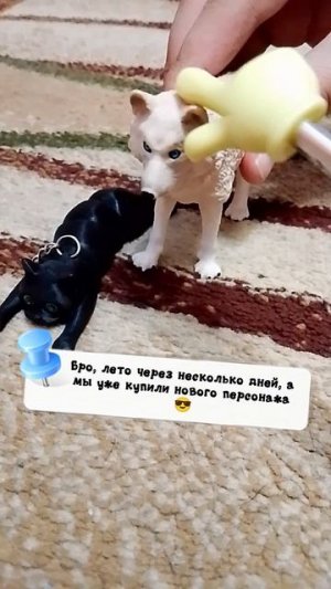 Его зовут Тимон