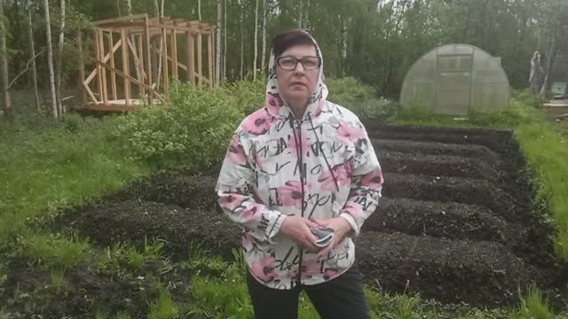 В этот год я Люблю....Как всегда
