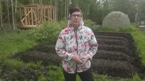 В этот год я Люблю....Как всегда