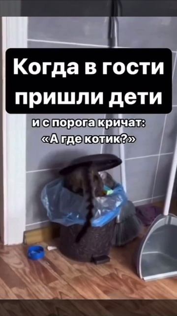 COOLCLIPS_266_подписывайся смотреть онлайн