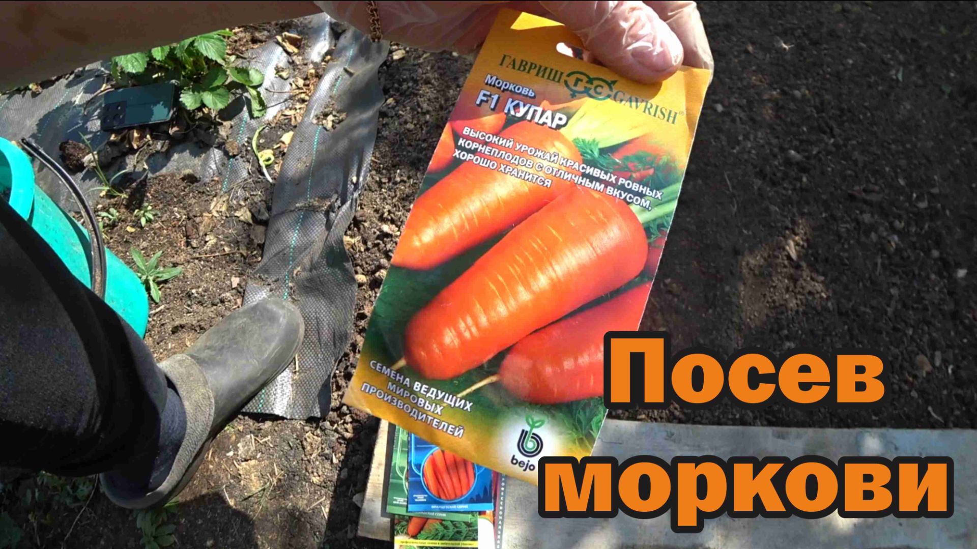 Вишня отцвела - смело сеем морковь