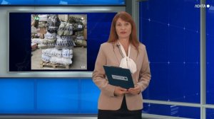 Более двух тонн гуманитарной помощи от волонтерских организаций Артёма отправили на СВО