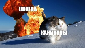 Каникулы смешные картинки