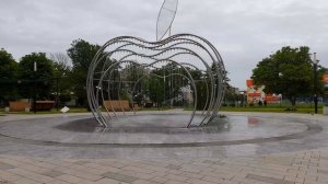 Дневная прогулка. 25.05.2026.