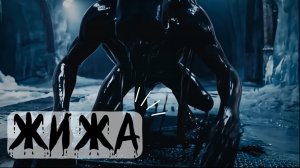 Жижа ии видео 2026