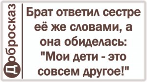 Брат ответил сестре её же словами, а она обиделась: «Мои дети - это совсем другое!»