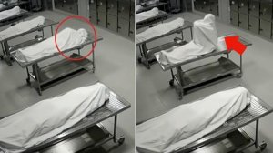 Если бы Это Видео Не Сняли На Камеру Видеонаблюдения, Никто Бы Точно Не Поверил. ЛУЧШЕЕ ЗА МЕСЯЦ