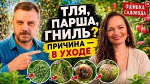 Почему сад постоянно болеет? Ошибка почти всех дачников
