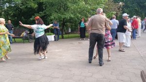 Белые ромашки ....... 24.05.26 Гомель парк Луначарского 🥰💫