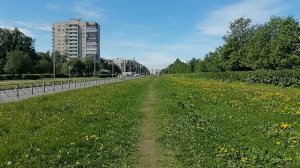 По делам с вами, мои подписчики☘️🌺☘️🌺🌿